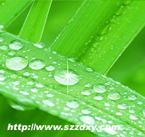 �h���o�U���a