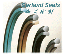 �X�ͲĔD���C�ܷ�� ˹�ط�STR